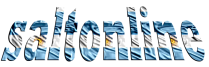 Saltonline